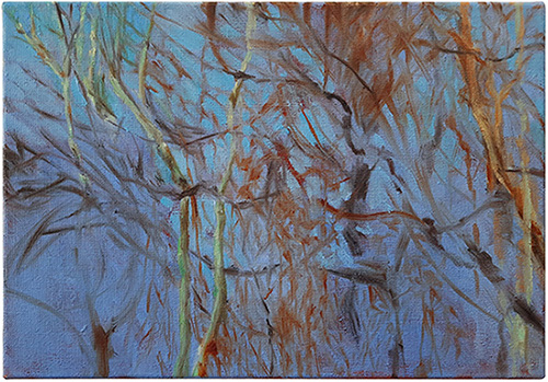 Branches and sky